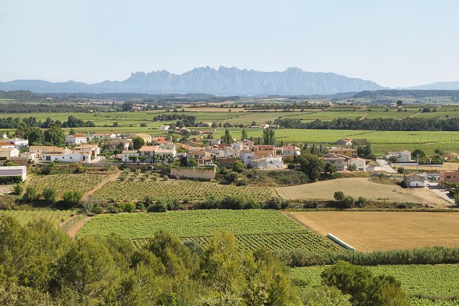 Food and Wine Small Group Tour from Barcelona - Maximum 8 people - Who should take this day trip?