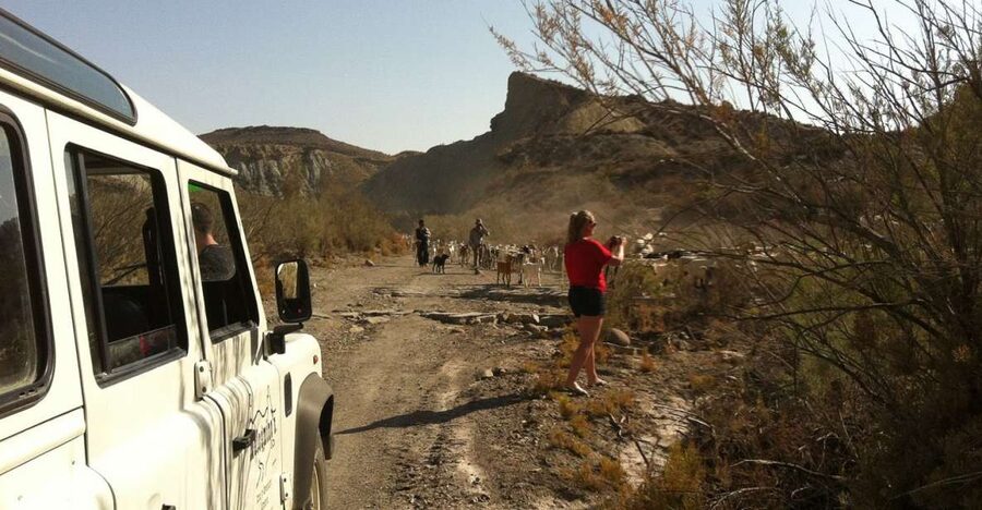 From Almeria: Tabernas Desert 4WD Joyriding Tour - The 4WD Route Into the Desert