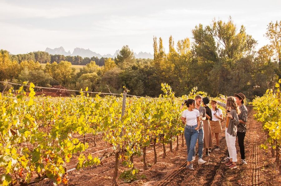 From Barcelona: Full-Day Montserrat & Wine Small Group Tour - Lunch at Oller del Mas