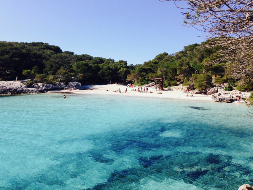 From Cala Galdana: 2-Hour Glass-Bottom Boat Trip - Starting across from the Amigo’s Boat Trips sign