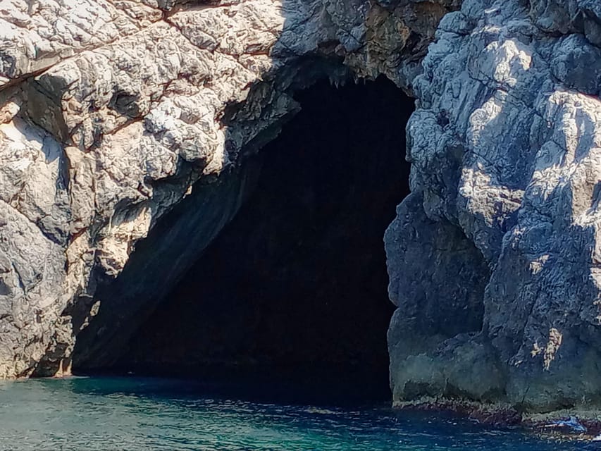 From Can Picafort: Dolphin Watching and Cave Boat Trip - What the $82 price delivers