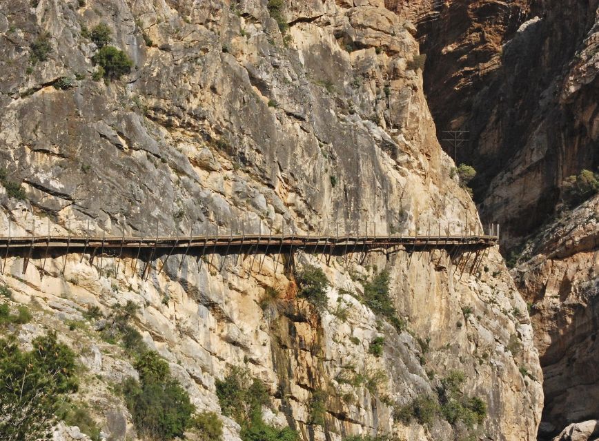 From Costa del Sol: Caminito del Rey Day Trip - Timing, weather, and practical limits