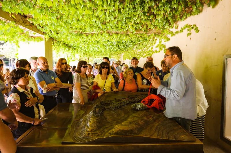 From Costa del Sol: Granada Full-Day Tour - Starting the morning from Costa del Sol