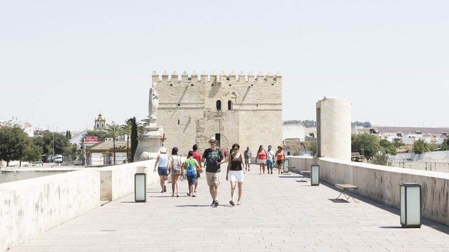 From Costa del Sol & Malaga: Cordoba Guided Day Tour - Why Cordoba makes a worthwhile day trip