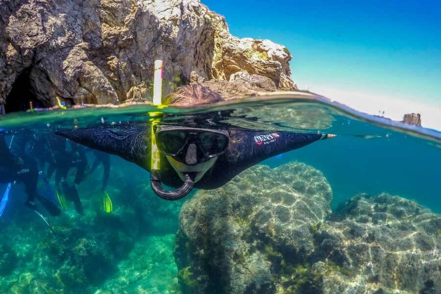 From L’Estartit: Snorkeling Trip to the Medes Islands - How the $45 price holds up