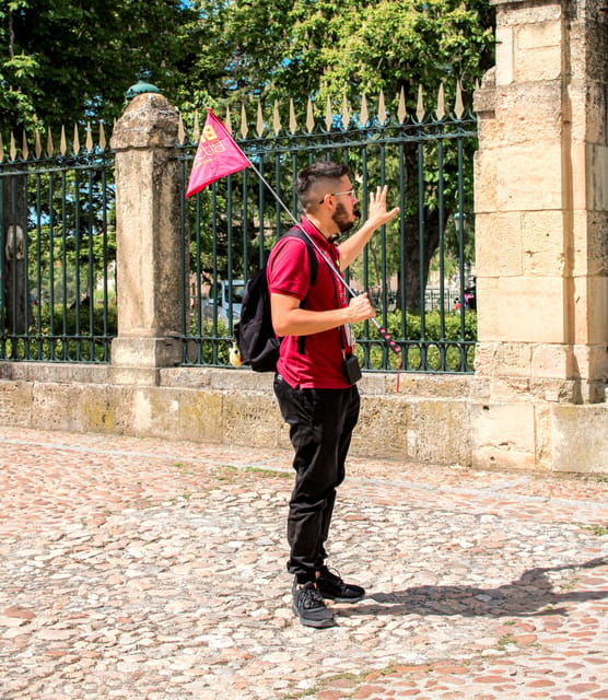From Madrid: Ávila and Segovia Guided Day Trip - How the bilingual guiding works