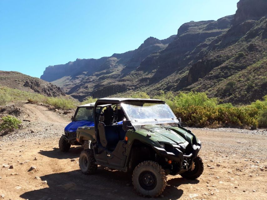 From Maspalomas: Volcanic Landscapes 4-Seater Buggy Tour - Timing, cost, and what you really get