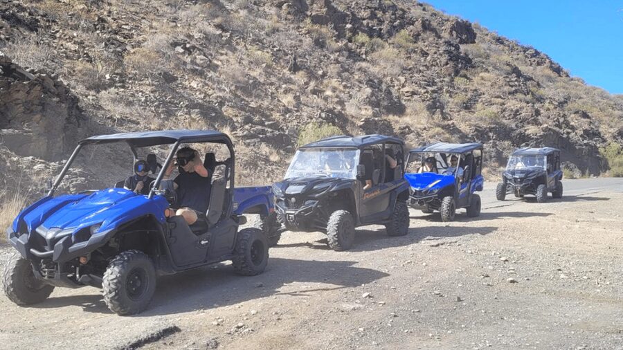 From Maspalomas: Volcanic Landscapes 4-Seater Buggy Tour - Should you book the Maspalomas buggy tour?
