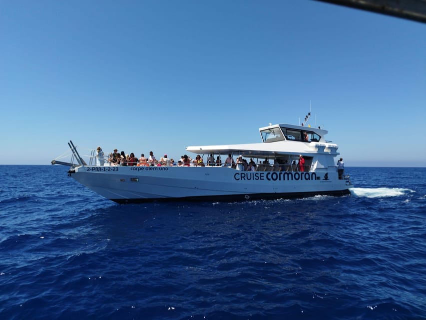From Palma: 3-Hour Morning Dolphin Watching Boat Tour - Key points to know before you book