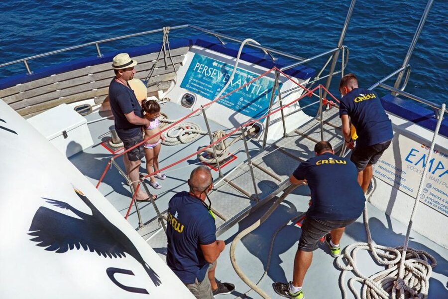 From Palma: 3-Hour Morning Dolphin Watching Boat Tour - Should you book the Palma dolphin boat tour?