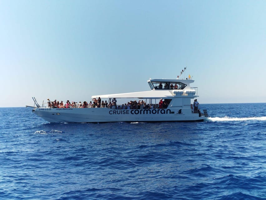 From Palma: 3-Hour Morning Dolphin Watching Boat Tour - The dolphin search and why it takes time