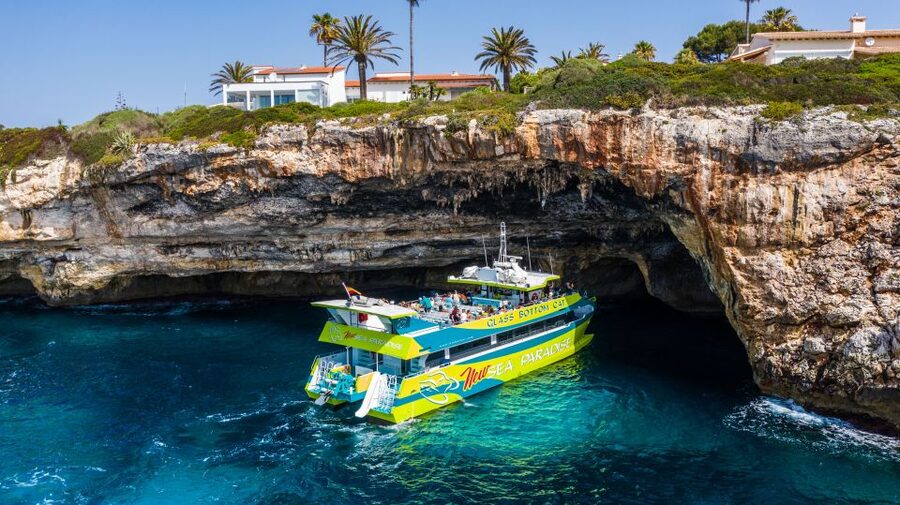 From Porto Cristo: East Coast Glass-Bottom Boat Trip - The glass-bottom viewing: keep expectations sensible
