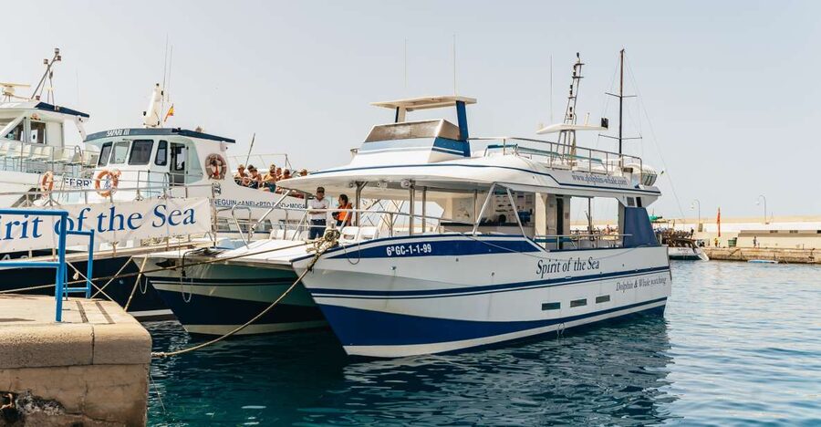 From Puerto Rico de Gran Canaria: Dolphin Watching Cruise - Setting out along Gran Canaria’s southwest coast