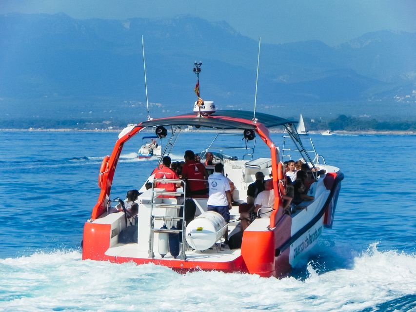 From Salou/Cambrils: Speedboat Tour - The Cap Salou swimming stop