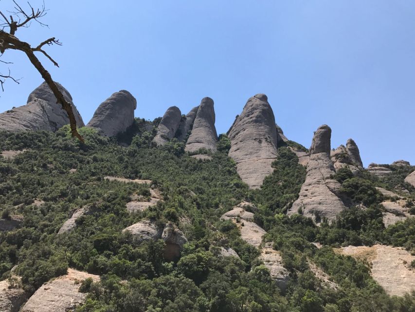 From Salou: Montserrat Monastery and Colonia Güell - Colonia Güell: Gaudí away from the crowds