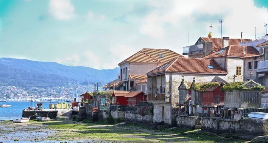 From Santiago: Rías Baixas Galicia Seafood & Wine Day Tour - Albariño among the vines