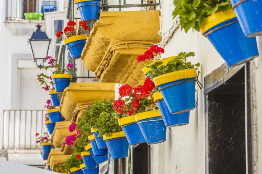 From Seville: Cadiz and Jerez de la Frontera Day Trip - How much time do you really get in Cádiz?