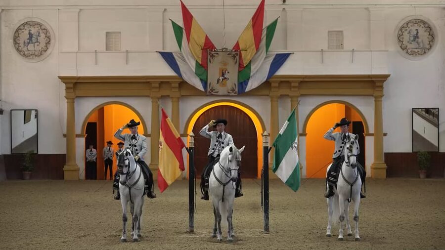 From Seville: Jerez, Cádiz and Andalusian Horses - Cádiz after the scheduled stops