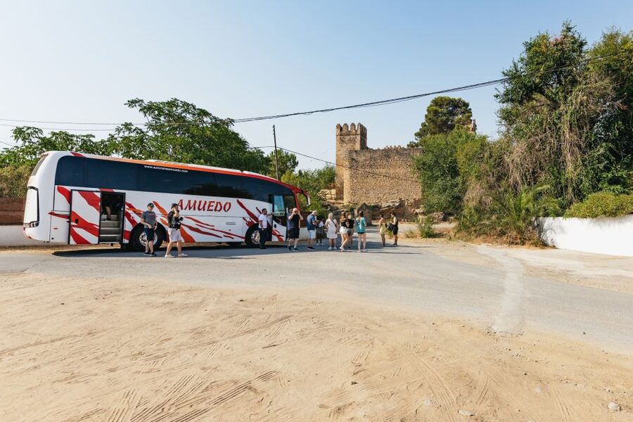 From Seville: Pueblos Blancos and Ronda Full-Day Trip - Should you book it?