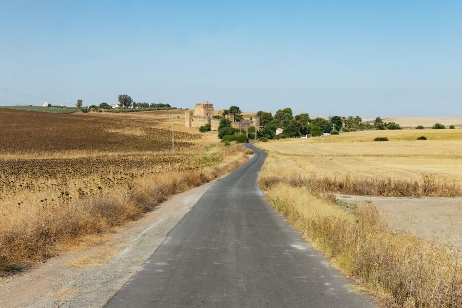 From Seville: Pueblos Blancos and Ronda Full-Day Trip - Lunch and mountain views in Grazalema