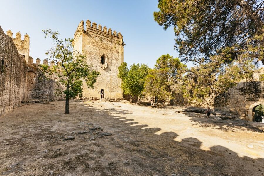 From Seville: Pueblos Blancos and Ronda Full-Day Trip - Coach comfort, group size, and the long ride home