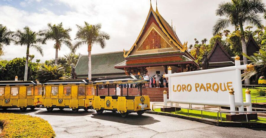 From South Tenerife: Loro Park Zoo Ticket & Hotel Transfers - Key points to know before you book