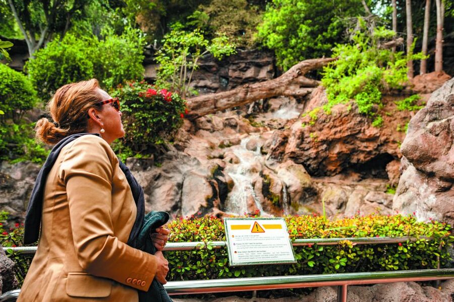 From South Tenerife: Loro Park Zoo Ticket & Hotel Transfers - Who should book this experience?