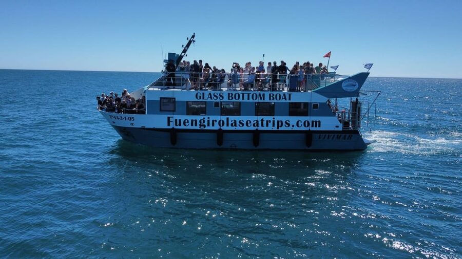 Fuengirola: Catamaran Tour to Spot Dolphins - Key points at a glance