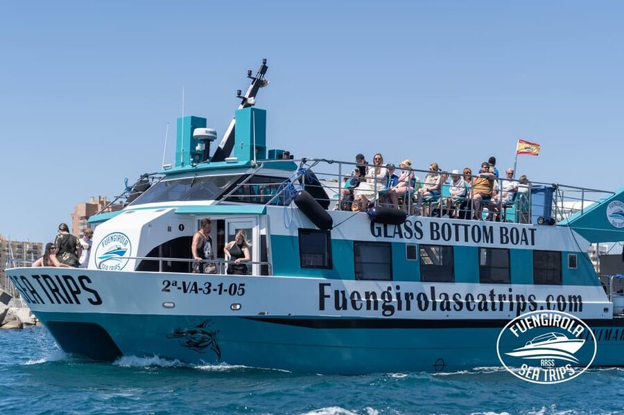 Fuengirola: Catamaran Tour to Spot Dolphins - Two hours on the Costa del Sol water