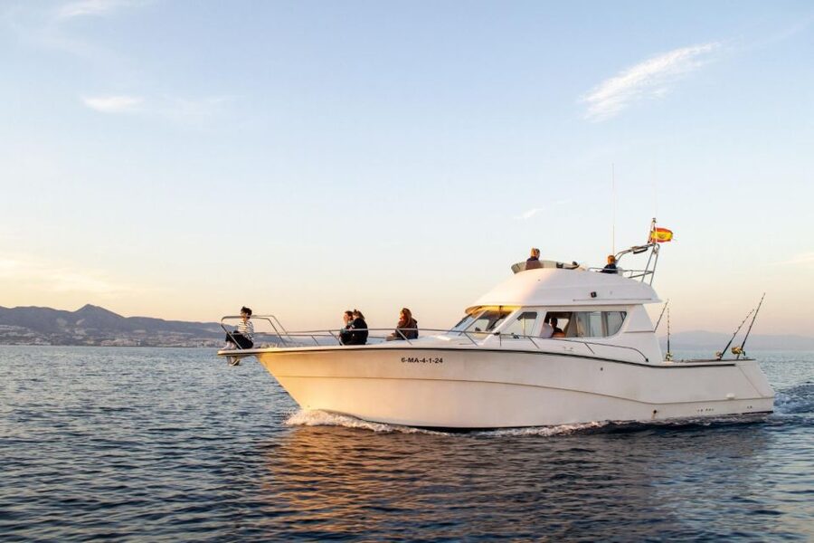 Fuengirola: Dolphin Watching Excursion with Refreshments - What the Rodman 12.5R feels like on the water
