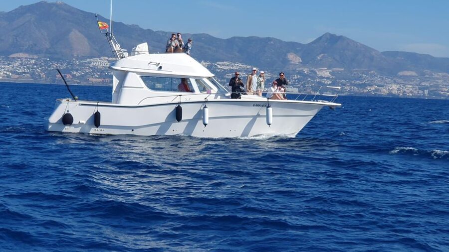 Fuengirola: Dolphin Watching Excursion with Refreshments - Families, couples, and small celebrations