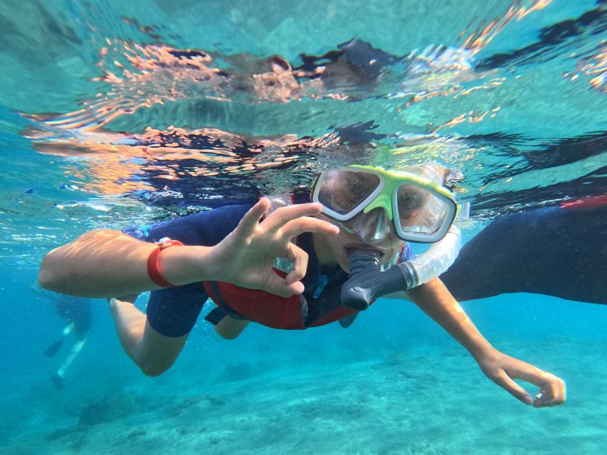 Fuerteventura: Guided Snorkeling in La Lajita with Pickup - Why the small group size matters