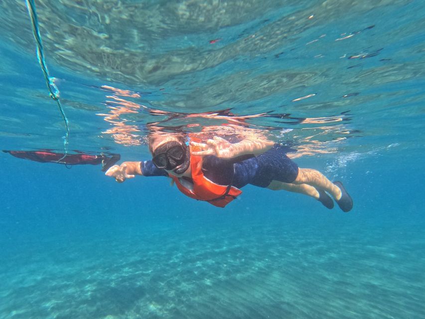 Fuerteventura: Guided Snorkeling in La Lajita with Pickup - What the 50-minute water session feels like