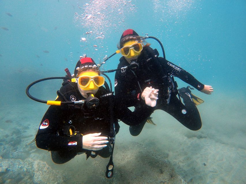 Fuerteventura: Introduction to Scuba Diving - From Costa Calma to the shore at La Lajita