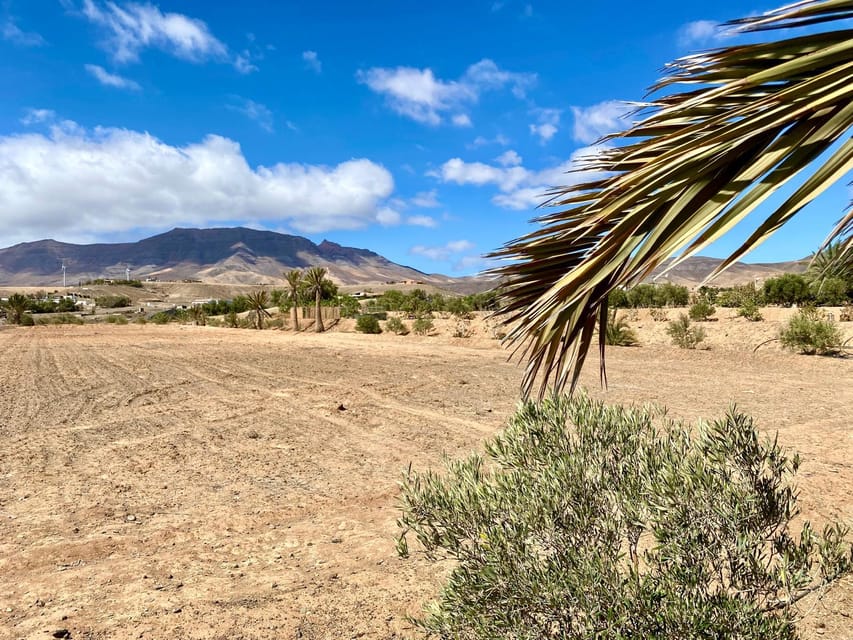 Fuerteventura: Tapas and Local Life Guided Tour - Two long stops and easy van transfers