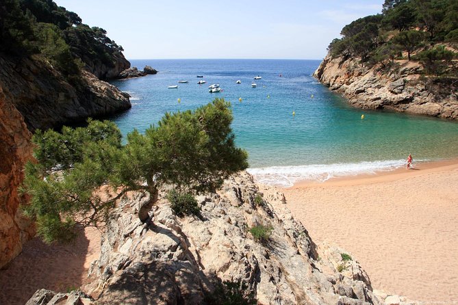 Girona & Costa Brava Small-Group Tour with Pickup from Barcelona - Calella de Palafrugell and the Costa Brava coast