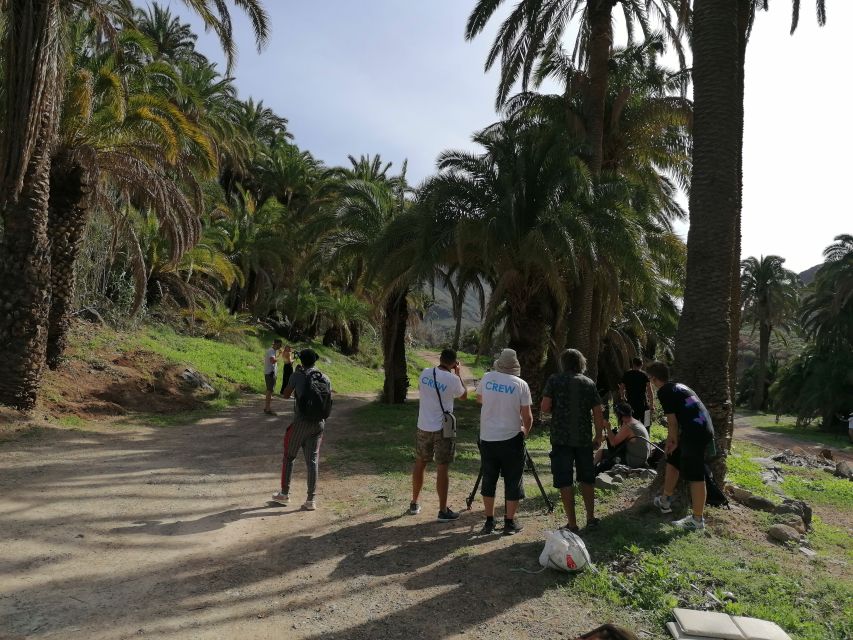 Gran Canaria: Camel Ride at Camel Safari Park - Why the palm oasis matters