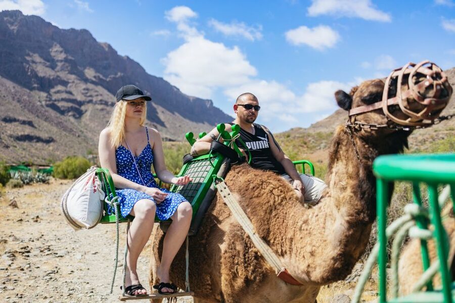 Gran Canaria: Camel Ride Safari w/ Optional Food & Transport - Tropical Gardens, Fruit Trees, and Farm Animals