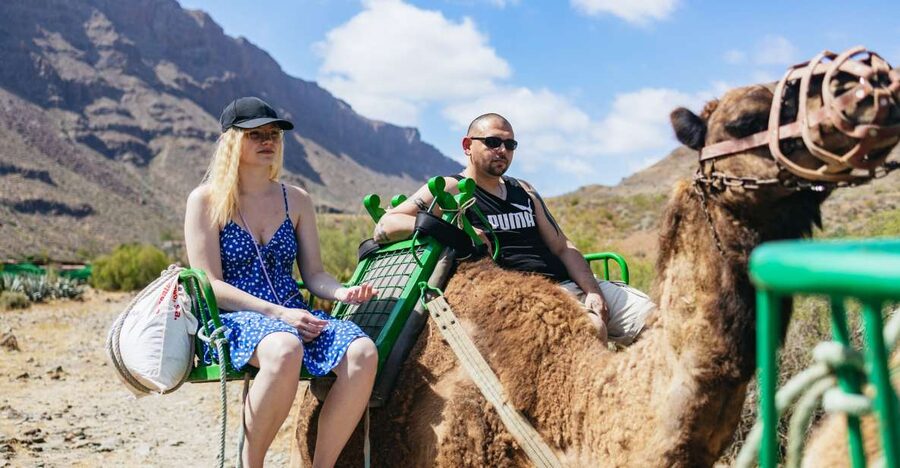 Gran Canaria: Camel Ride Safari w/ Optional Food & Transport - A One-Hour Camel Ride Through the Ravine