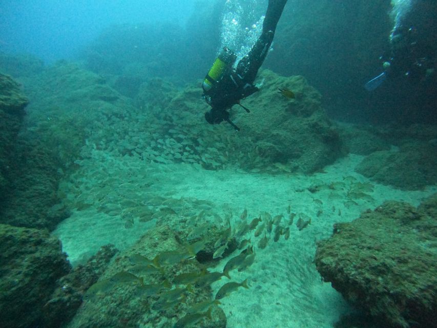 Gran Canaria: Discover Scuba Diving - Free Transfers - A calm lesson before the sea