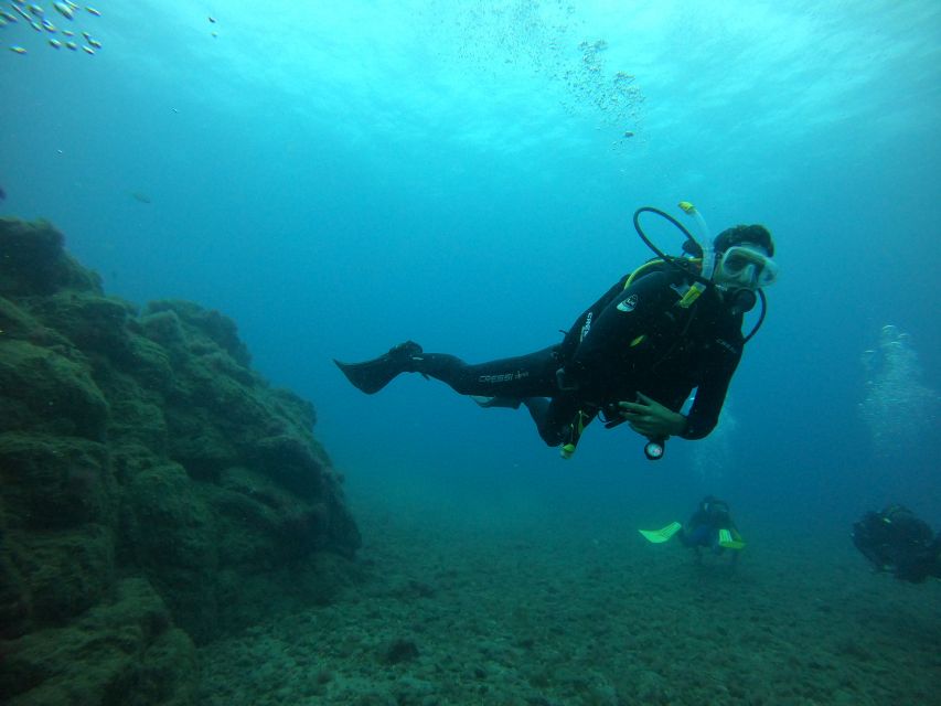 Gran Canaria: Discover Scuba Diving - Free Transfers - What the instructors do well