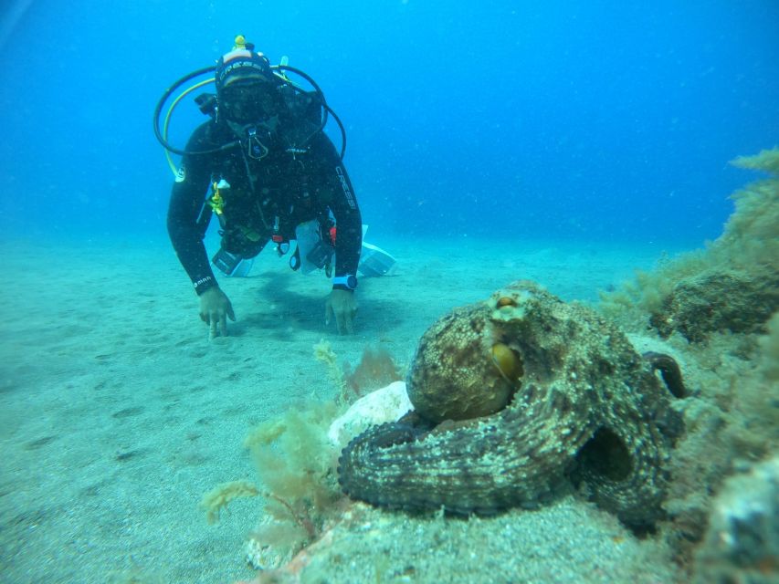 Gran Canaria: Discover Scuba Diving - Free Transfers - Who should book this experience?