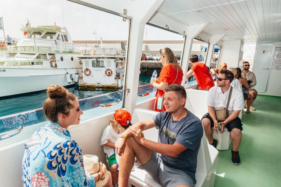 Gran Canaria: Dolphin and Whale Watching Cruise - The moments that make the $40 worthwhile