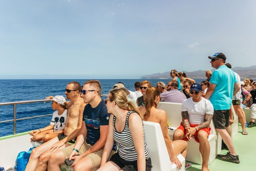 Gran Canaria: Dolphin and Whale Watching Cruise - Boat comfort, weather, and seasickness