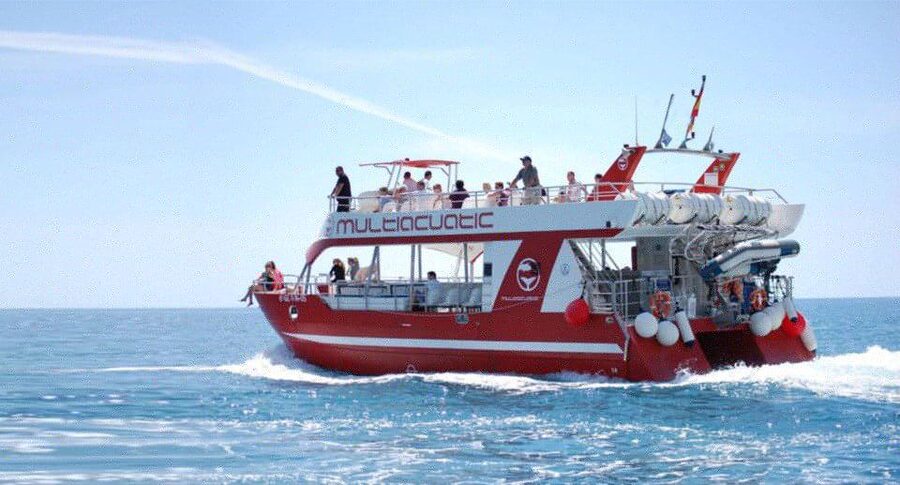 Gran Canaria: Dolphin and Whale Watching Cruise - How the wildlife search works