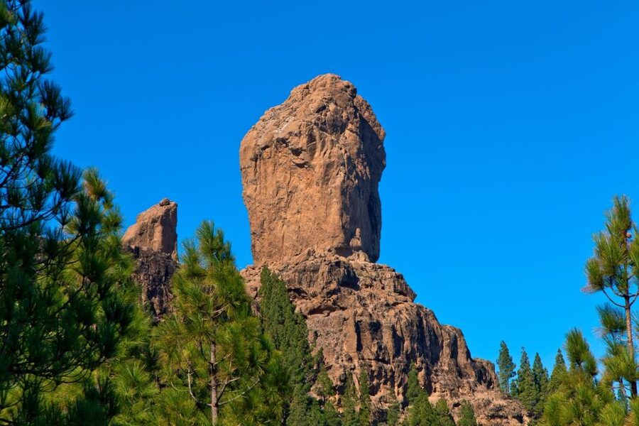 Gran Canaria: Full-Day VIP Tour by Bus - Guayadeque: caves, ravines, and older island life