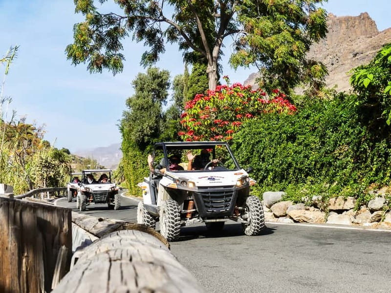 Gran Canaria Guided Buggy Tour - What it is like behind the wheel