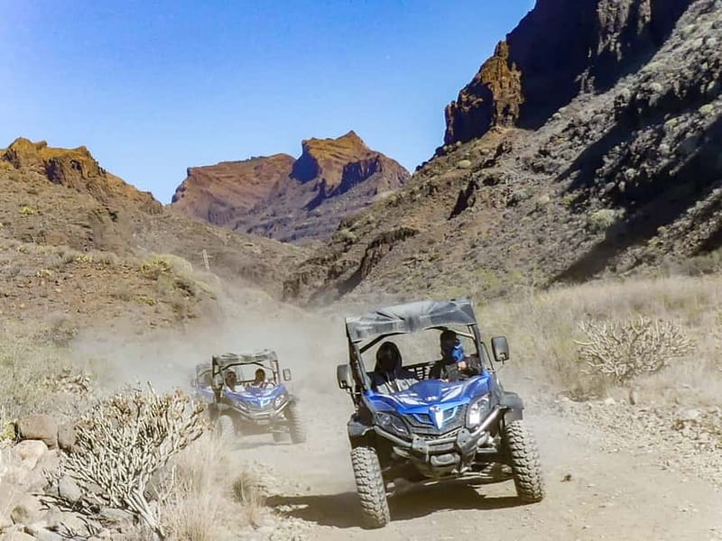 Gran Canaria Guided Buggy Tour - Booking details that can save trouble