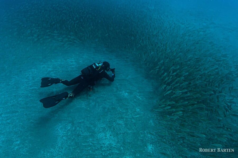 Gran Canaria:Live an Adventure and Learn to Dive with Expert - What the $100 price really covers