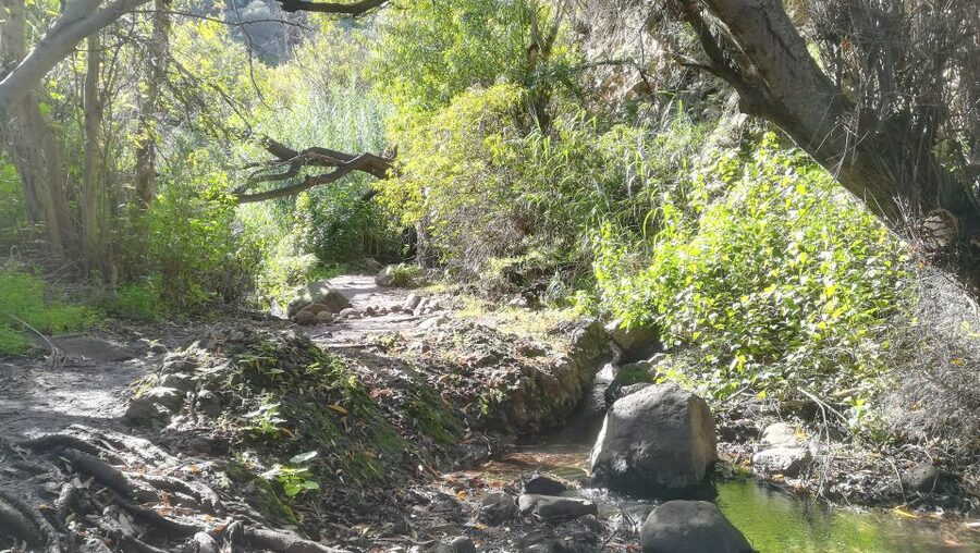 Gran Canaria: "Magic Waterfalls" Hiking Tour - A four-hour walk with moderate mountain footing